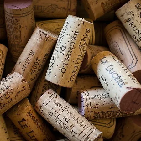 Tenuta San Filippo Montalcino