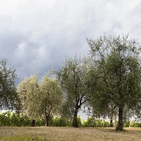 Tenuta San Filippo * Montalcino